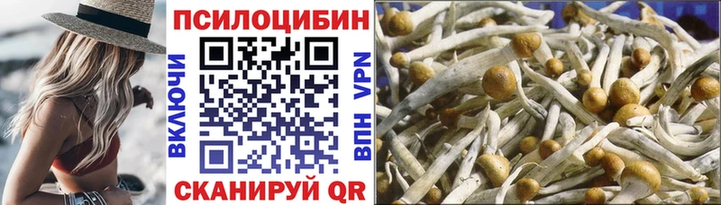 Псилоцибиновые грибы Magic Shrooms  Россошь 